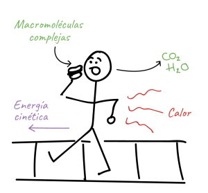 Un descubrimiento sacude 160 años de la física: científicos desafían una de las leyes fundamentales del calor